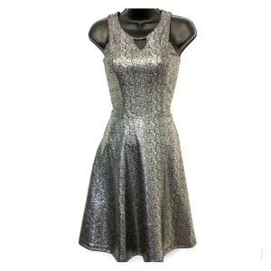 NWT Metallic Dress